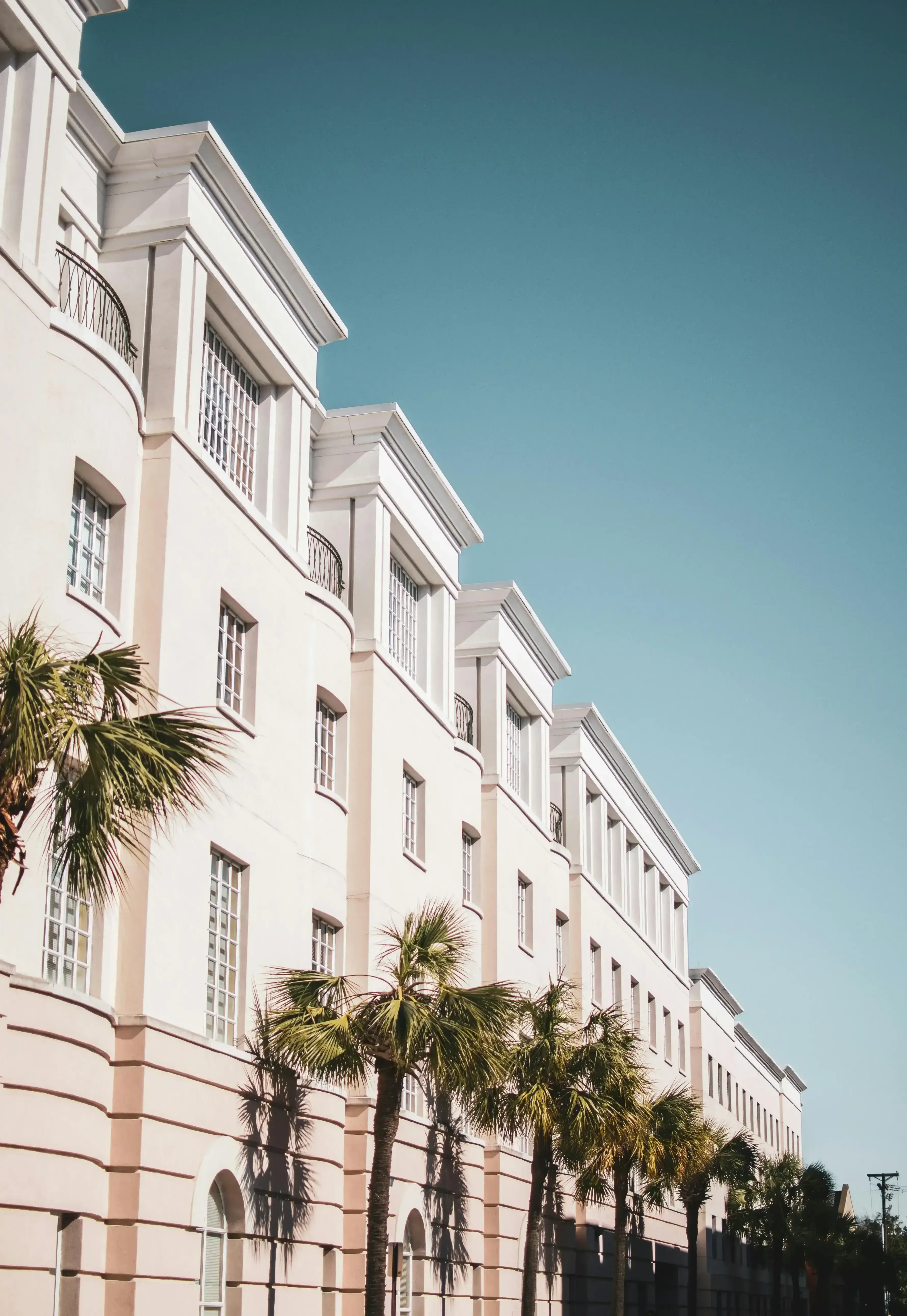 Sunny Development Group Team